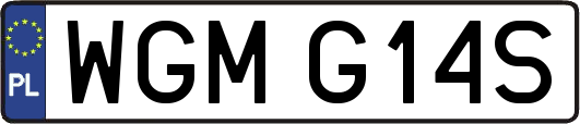 WGMG14S