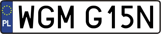WGMG15N