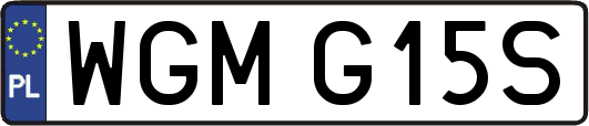 WGMG15S