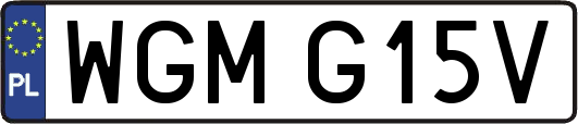 WGMG15V