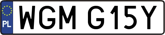 WGMG15Y