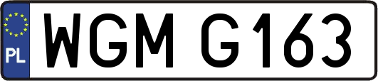 WGMG163