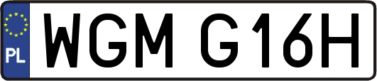 WGMG16H