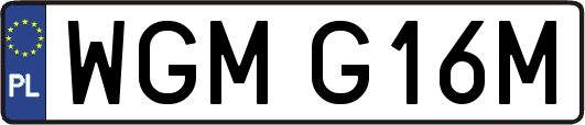 WGMG16M