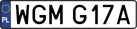 WGMG17A