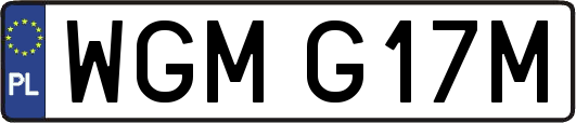 WGMG17M