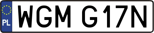 WGMG17N