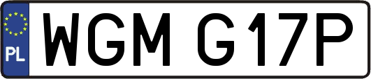 WGMG17P