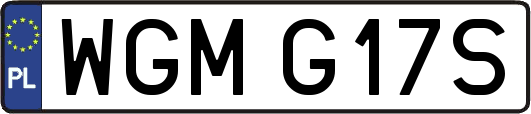 WGMG17S