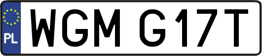 WGMG17T