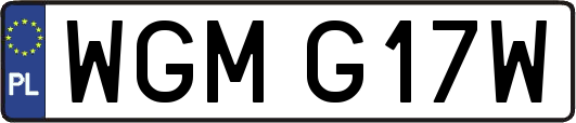 WGMG17W