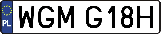 WGMG18H