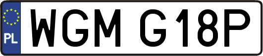 WGMG18P