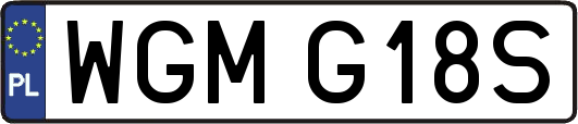 WGMG18S