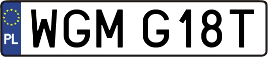 WGMG18T