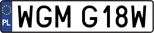 WGMG18W
