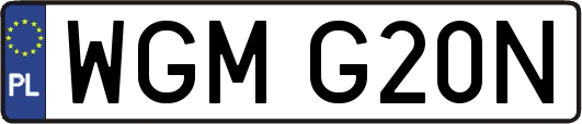 WGMG20N