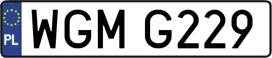 WGMG229