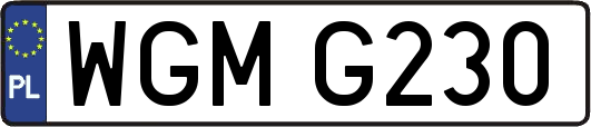 WGMG230