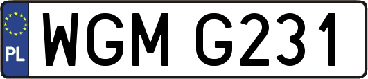 WGMG231