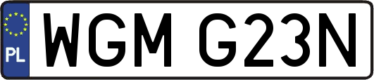 WGMG23N