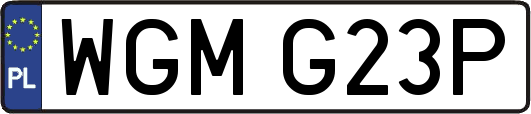 WGMG23P