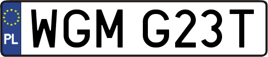 WGMG23T