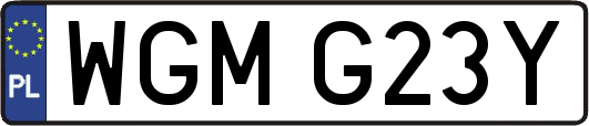 WGMG23Y