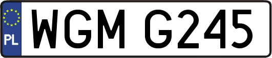 WGMG245