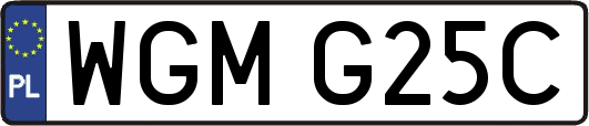 WGMG25C