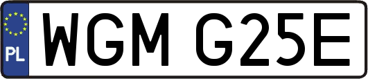 WGMG25E