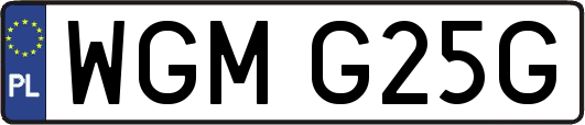WGMG25G
