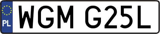 WGMG25L