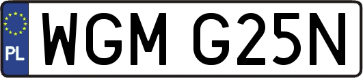 WGMG25N