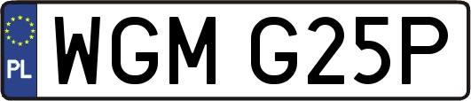 WGMG25P