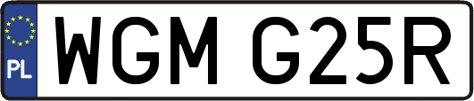 WGMG25R
