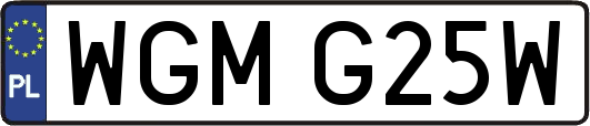 WGMG25W