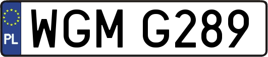 WGMG289