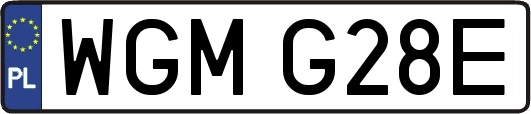WGMG28E