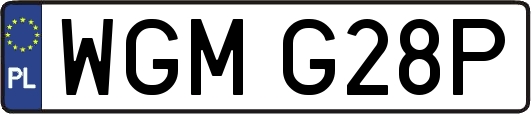 WGMG28P