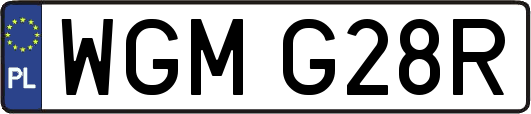 WGMG28R
