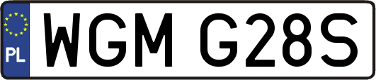 WGMG28S