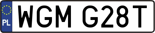 WGMG28T