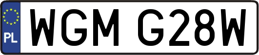 WGMG28W