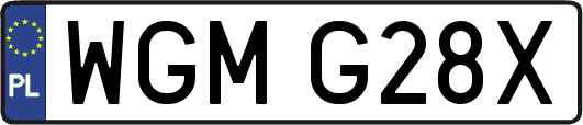 WGMG28X