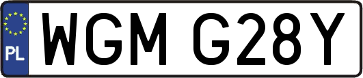 WGMG28Y