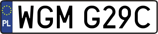 WGMG29C