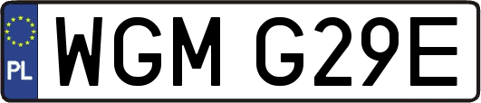 WGMG29E