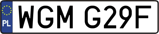 WGMG29F
