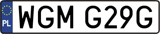 WGMG29G